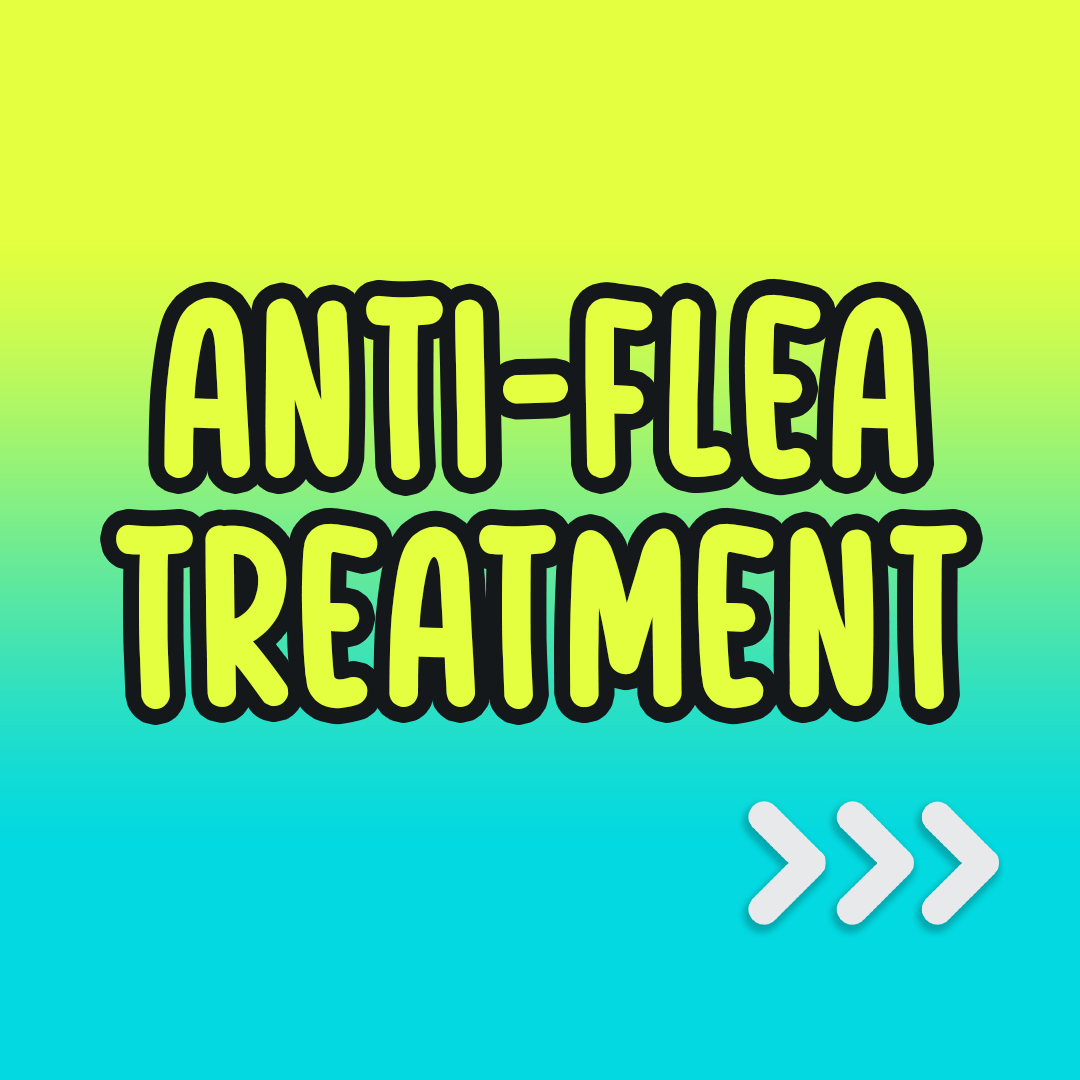 Anti-Flea Shampoo